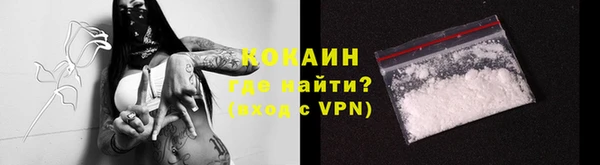 дмт Семилуки