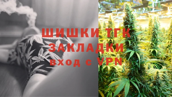 эйфоретик Кукмор