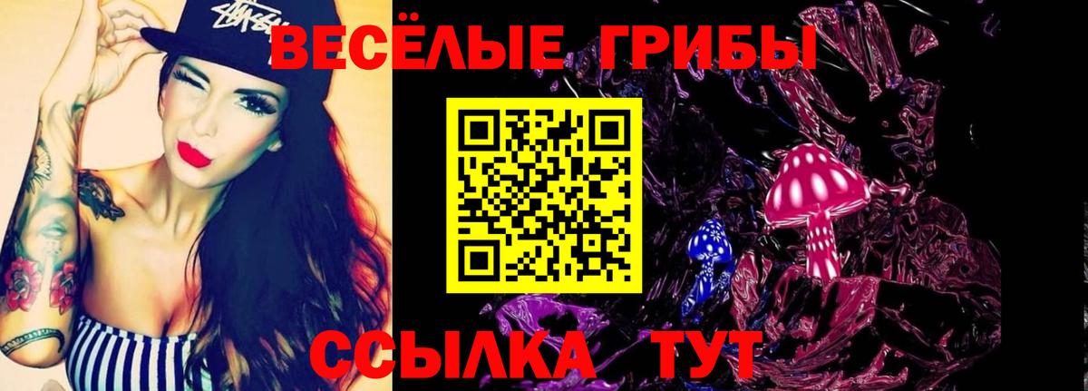 Псилоцибиновые грибы мухоморы Бирск
