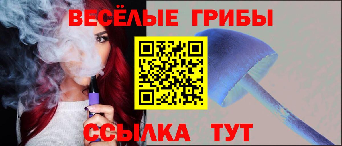 купить наркоту  Бирск  Псилоцибиновые грибы Psilocybe 